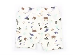 Name It shorts white alyssum print